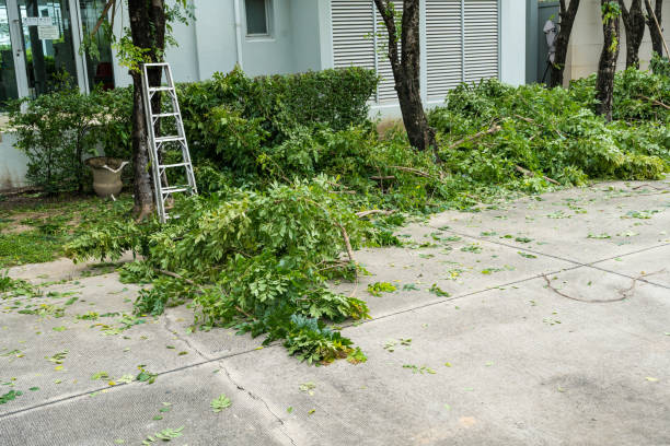 Best Commercial Tree Services  in Lake Butler, FL